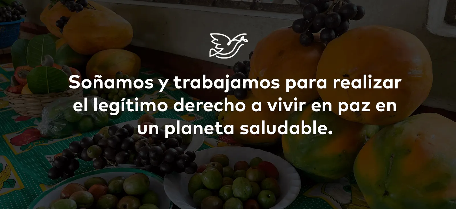 Soñamos y trabajamos para realizar el legítimo derecho a vivir en paz en un planeta saludable